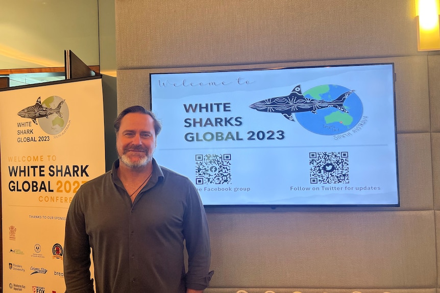 Senator wilson wears a grey shirt and stands in front of a poster reading White Sharks Global 2023.