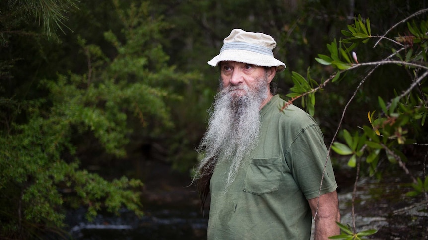 A man with a long bushy beard wearing a bucket hat stands in the forest
