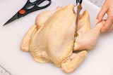A woman cuts into a whole, uncooked chicken using a knife.