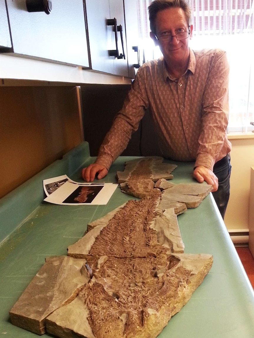 Professor John Long with Elpistostege fossil