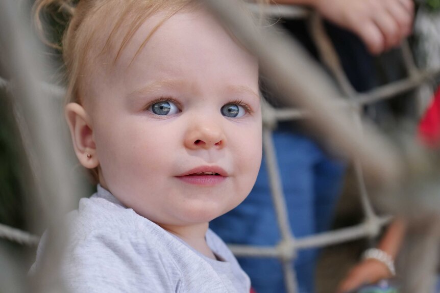 a toddler looks at the camera