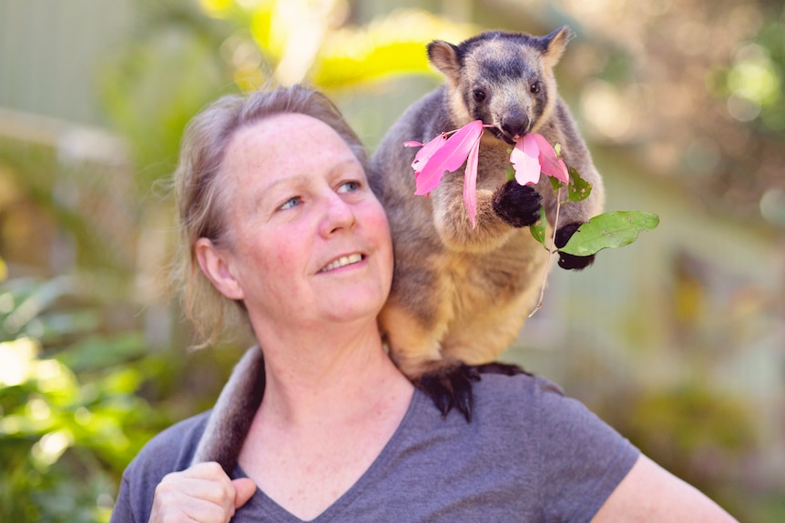 Lady with tree kangaroo on her shoulder