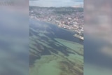 Aerial footage shows the oil spill has spread across a wide area