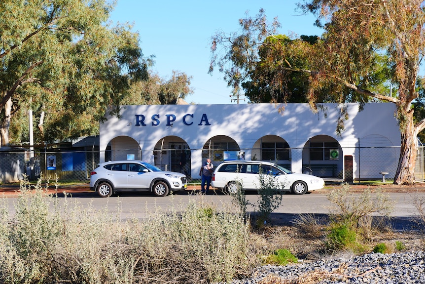 A white building with five Spanish arches and two white cars in front of it, surrounded by trees. 