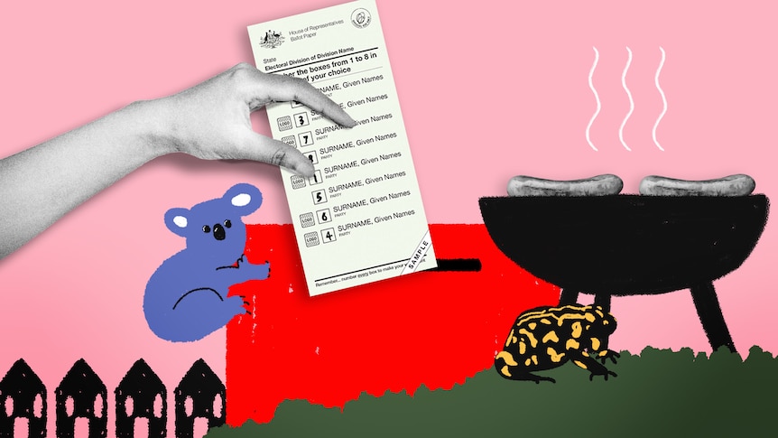 Collage and illustration with pink background, hand holding ballot paper, a bbq with sausages, a koala and black houses..