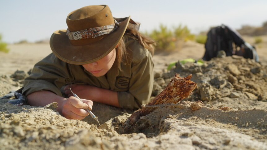 A female scientist lays on the ground examining fossils