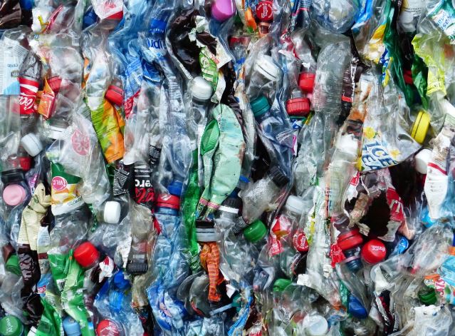 When a seabird's body crunches with the sound of plastic