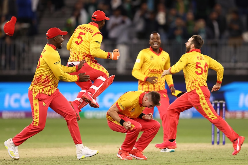 Zimbabwe players run and jump around Brad Evans, who is shouting while crouching, after beating Pakistan at the T20 World Cup.