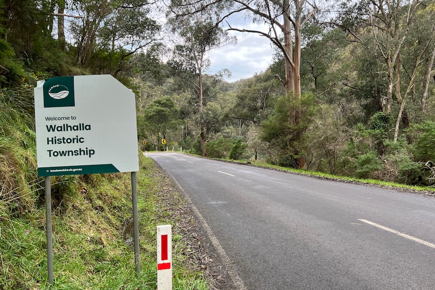 Walhalla town sign