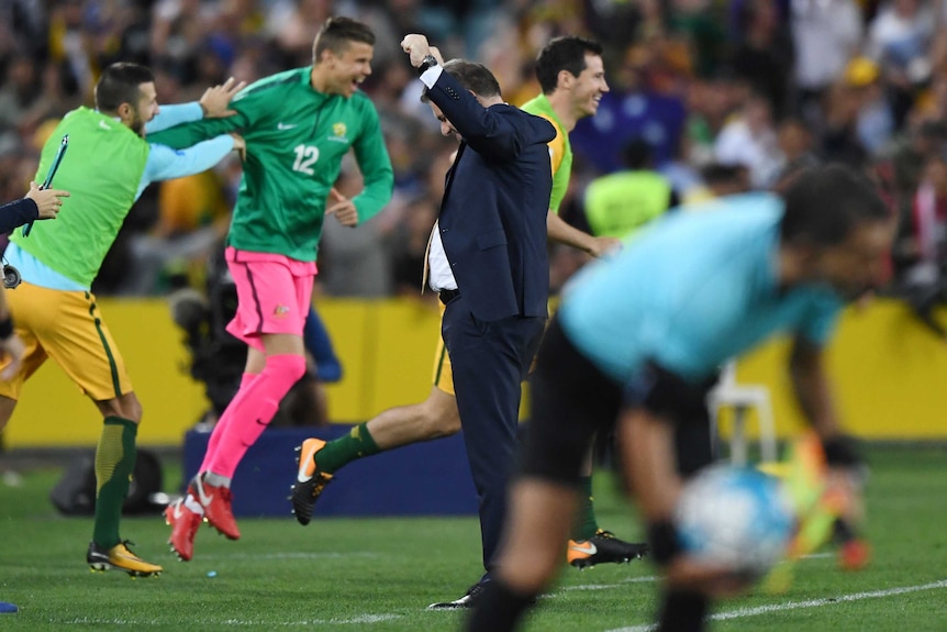 Australia coach Ange Postecoglou (C) after his team beat Honduras to qualify for the 2018 World Cup.