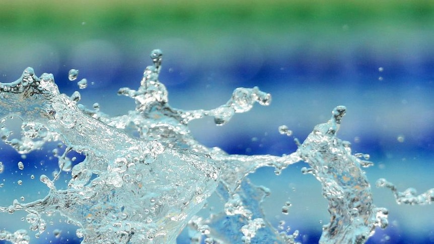 Australian swimmer (Matt King: Getty Images)