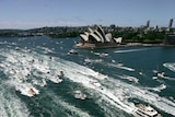 Several Sydney Harbour ferries battle it out in the annual Australia Day ferry race