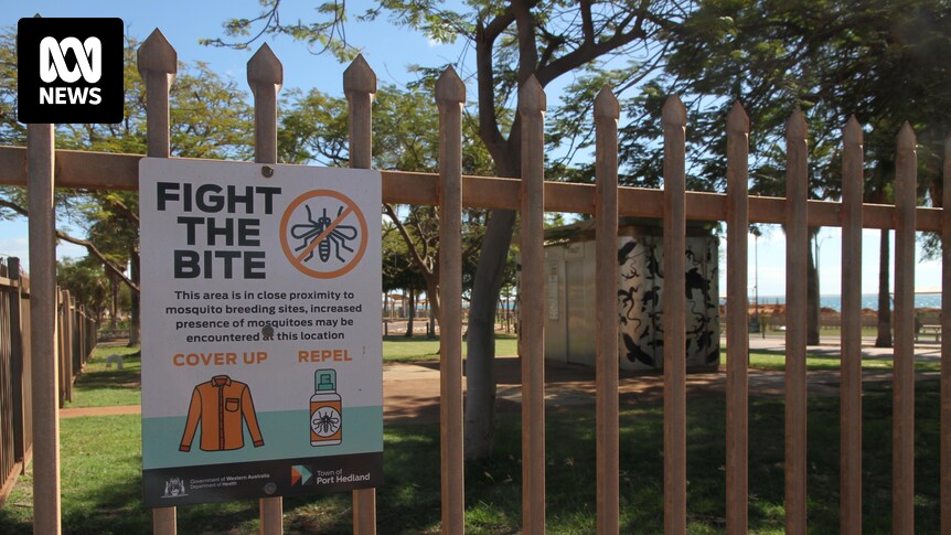 L’élimination des moustiques s’accélère dans le nord de l’Australie occidentale après que l’encéphalite de Murray Valley ait tué deux personnes