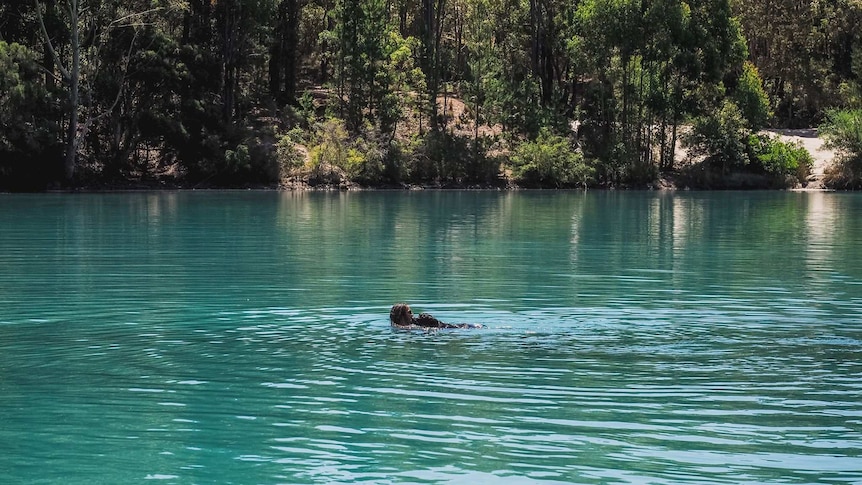 A woman swims with a dog in a blue lake.