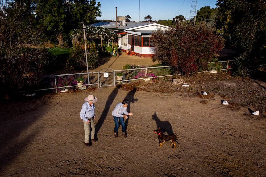 A drone shot shows an older couple playing with a dog in a dusty backyard
