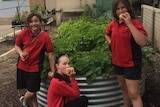 Three girls in school uniform stand amid a fruit and vegetable garden, biting into fresh fruit