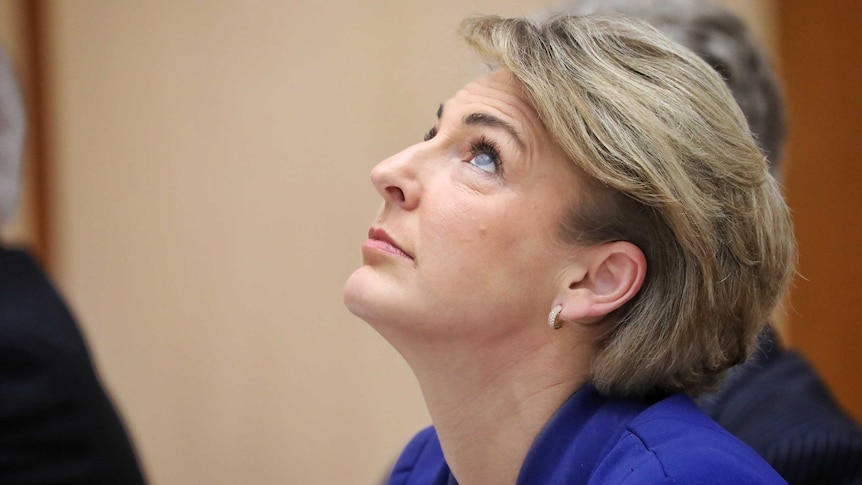 Michaelia Cash looks to the ceiling during Senate Estimates