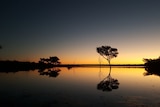 An orange sunset over a lake and trees