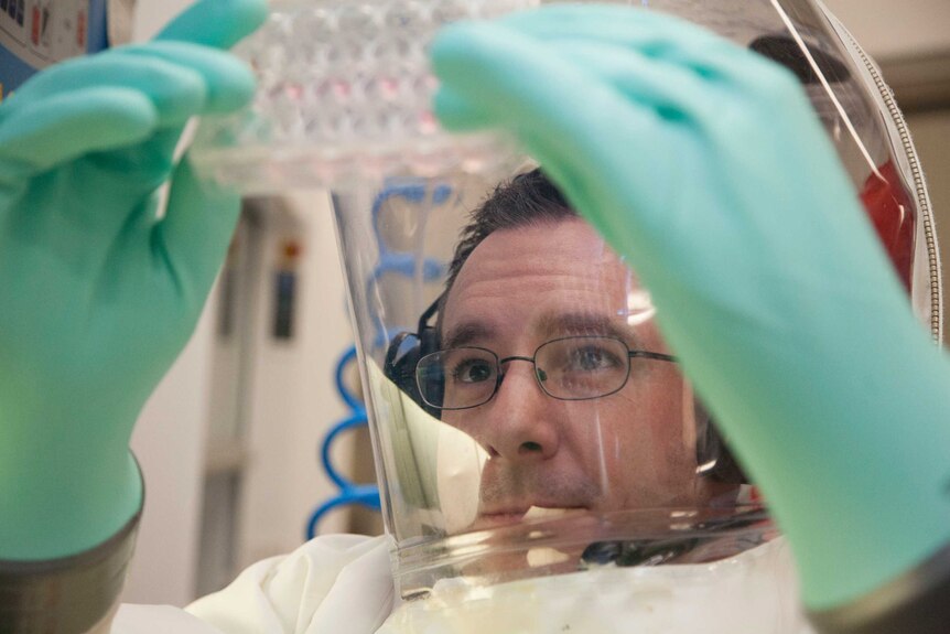 A male scientist wearing glasses under his protective suit holds up some equipment at the CSIRO's secure lab.