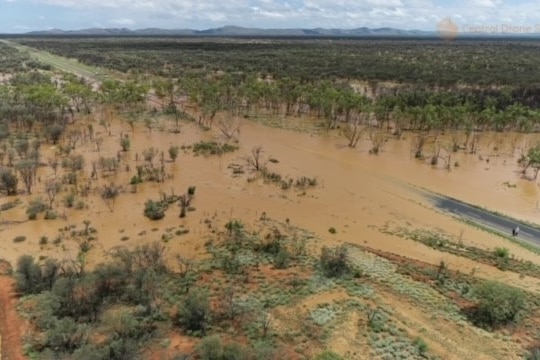 A road is submerged under a large amount of brown water, surrounded by green bushland.