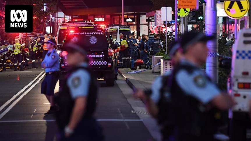 Leading neuropsychiatrist says Joel Cauchi may have fallen through cracks of health system ahead of Bondi Junction stabbings