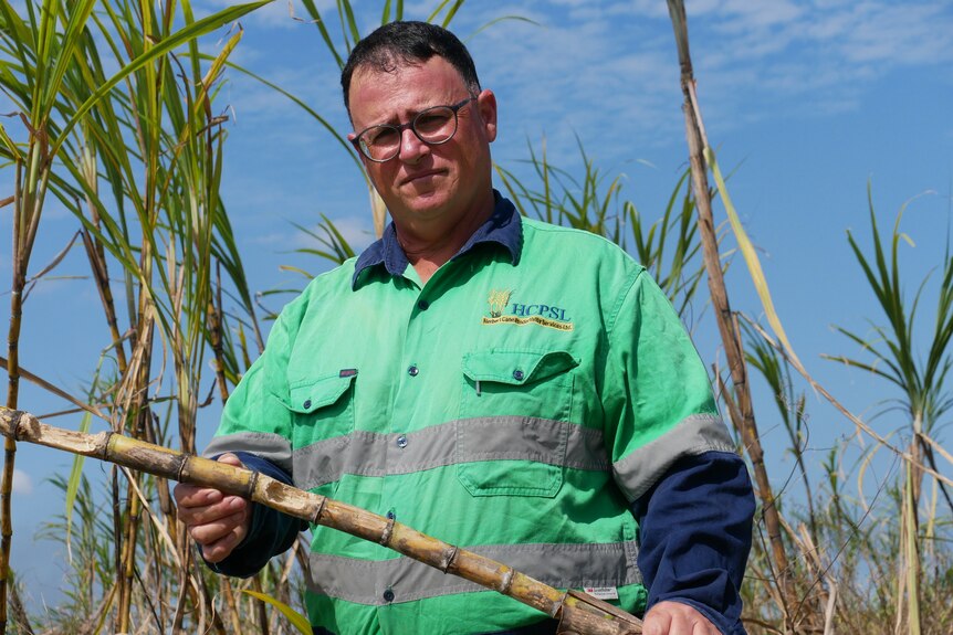 A man wearing a green shirt and frowning holds up a chewed piece of cane