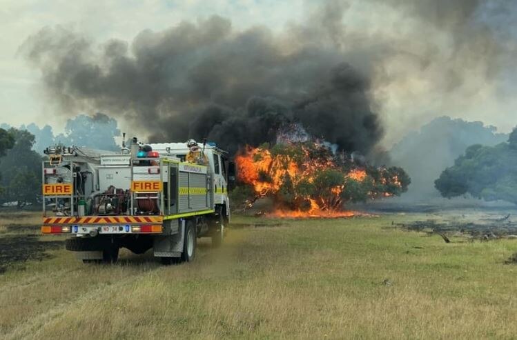 A fire truck drives towards a tree that is engulfed in flames