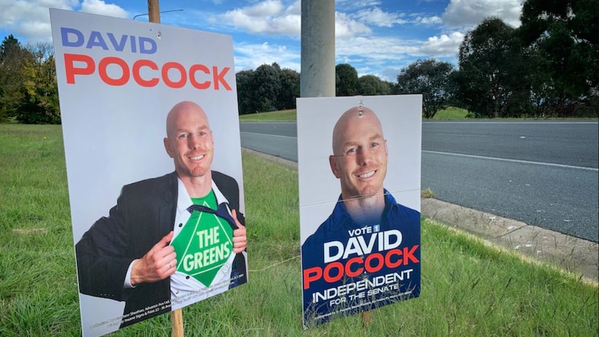 Two election signs pegged into grass on the side of a road.