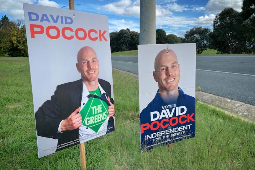 Two election signs pegged into grass on the side of a road.