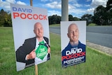 Two election signs pegged into grass on the side of a road.