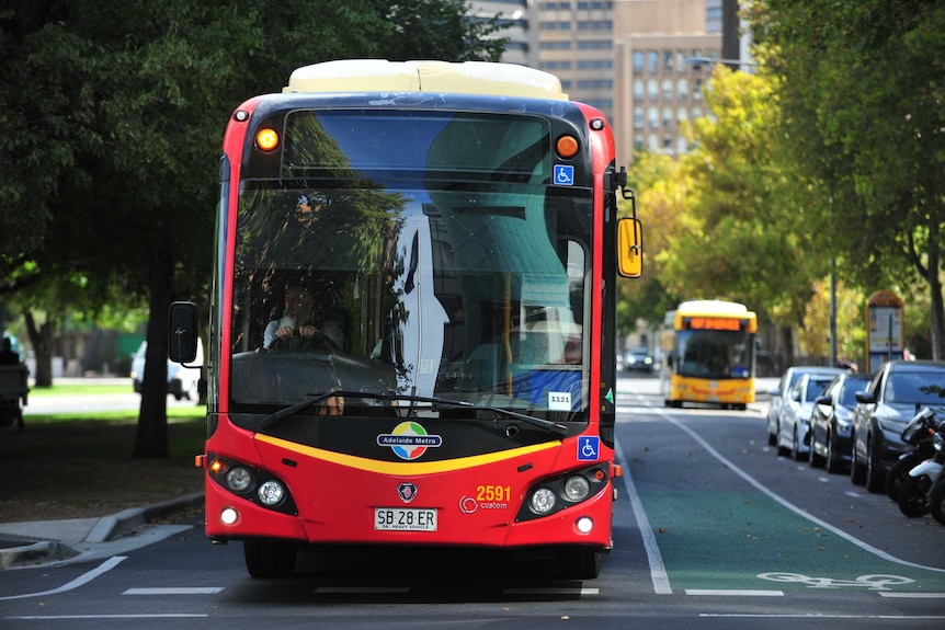 A red Adelaide Metro bus on a road in Adelaide's CBD.