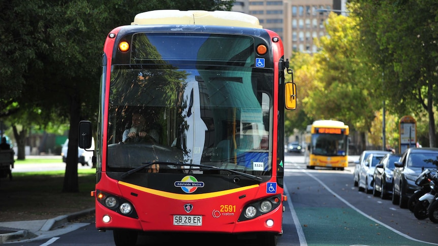 A red Adelaide Metro bus on a road in Adelaide's CBD.