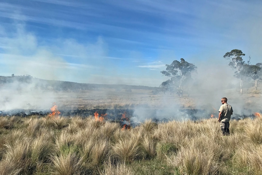 Man looks over grass fire