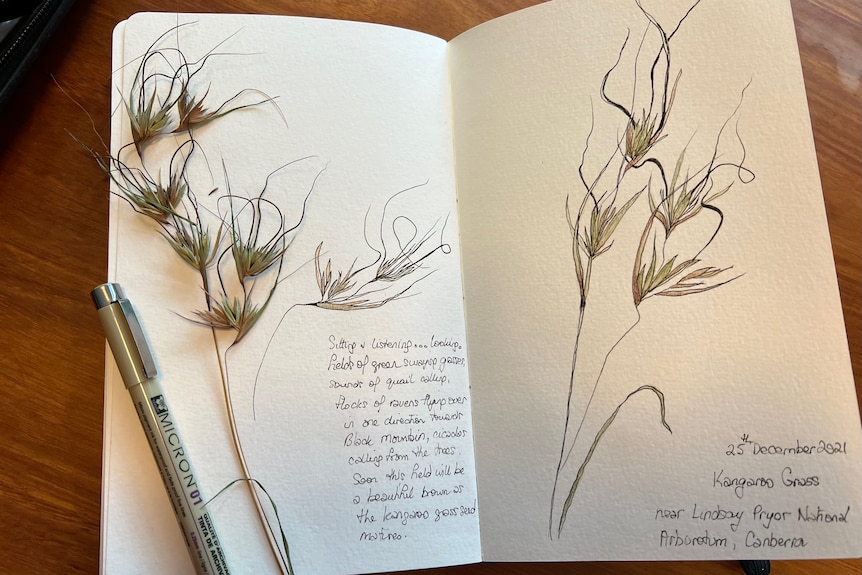 A visual art journal showing a picture of grass with some writing next to it, there is a pen on the page
