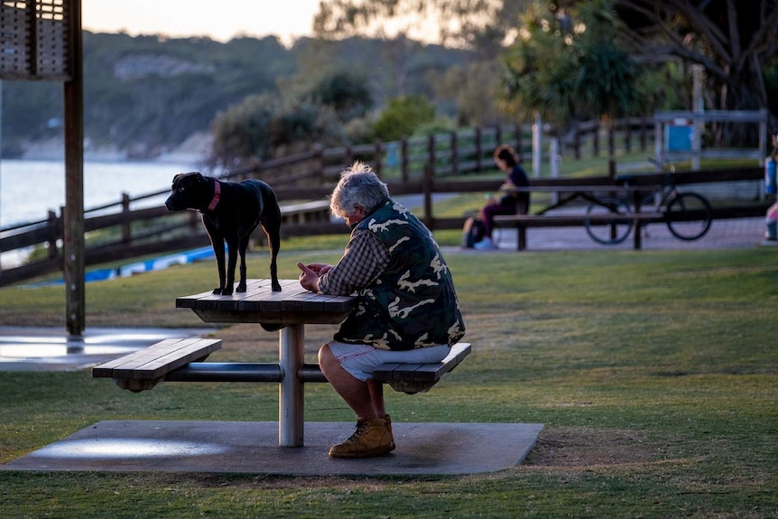 A man and his dog at a picnic table on the Byron foreshore.