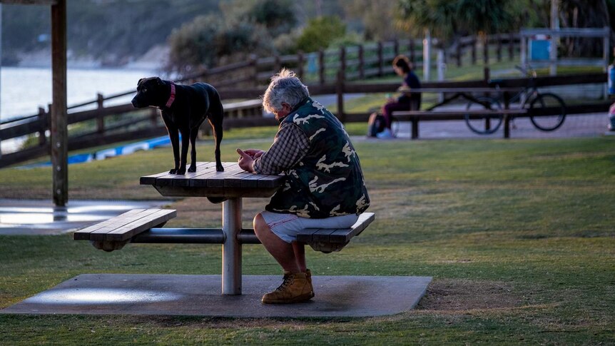 A man and his dog at a picnic table on the Byron foreshore.