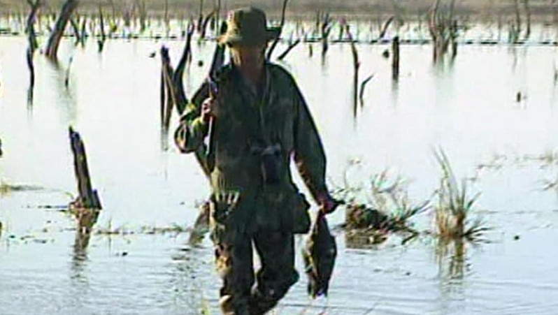 A duck hunter in a wetland