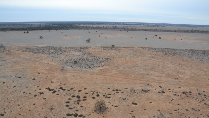 "The worst drought in history"