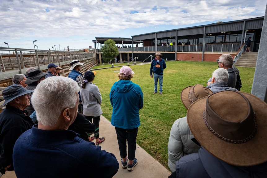 A man stands on grass near a saleyard, talking to tourists.