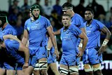 A Senate inquiry is investigating the ARU's decision to cut the Western Force from the competition.