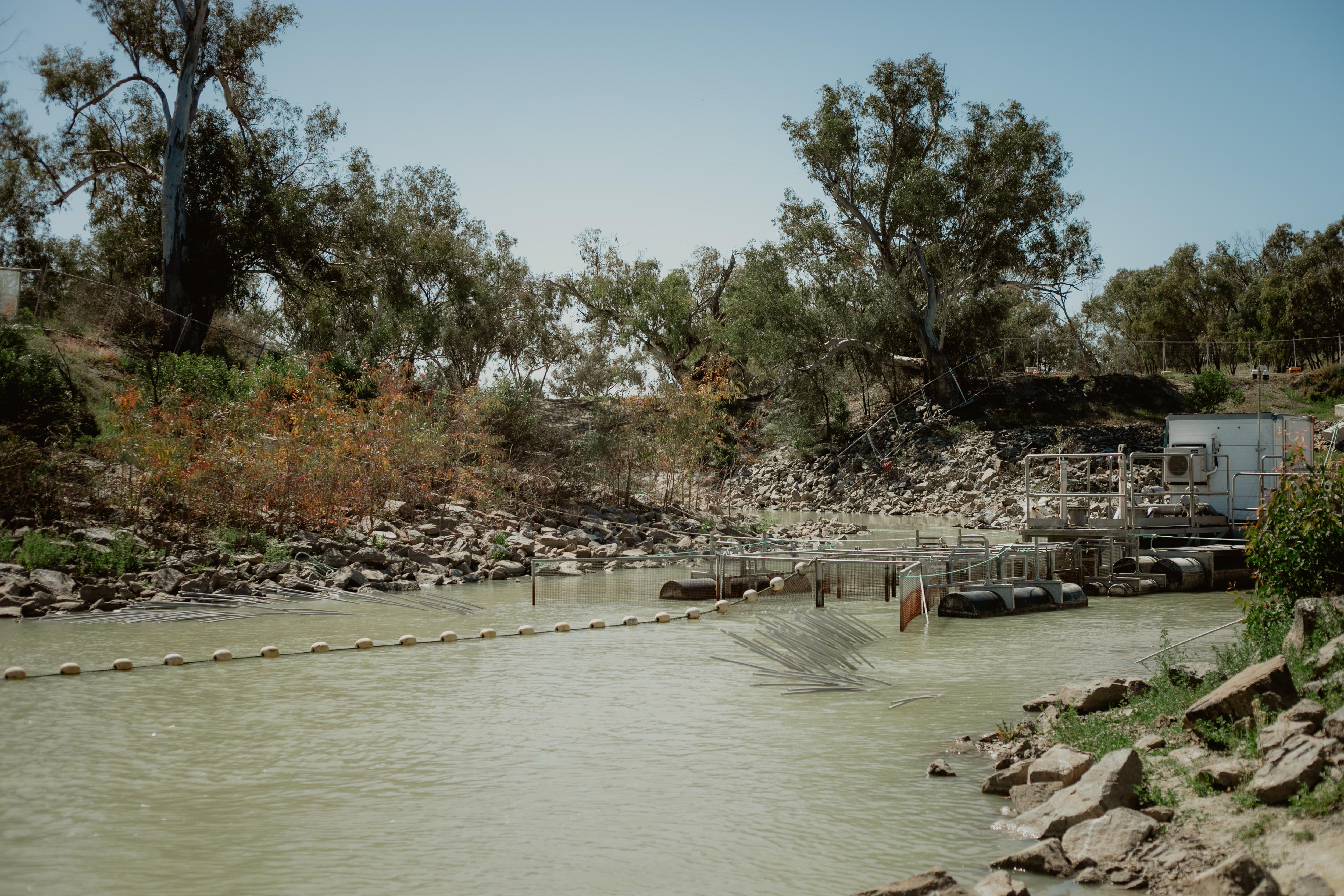 The entry to the Fishheart fish passageway, in the Darling Baaka River near Menindee.