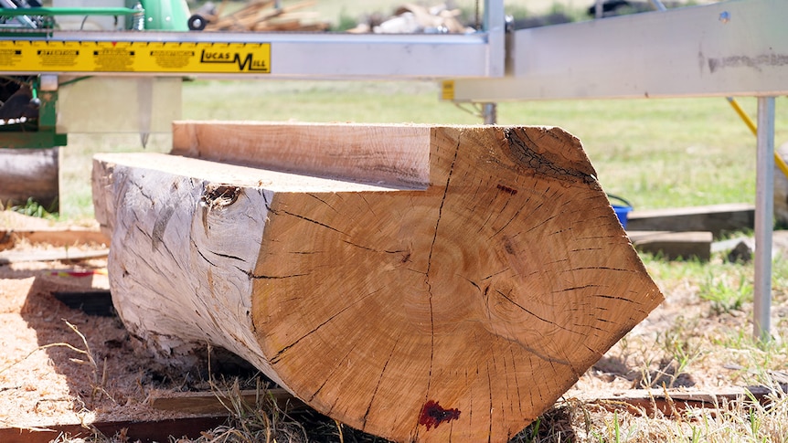 A slab of timber which is squared off at the top because posts have been cut out of it.