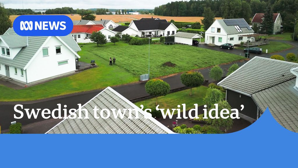 Swedish town's 'wild idea': White houses back onto green grass with yellow fields and forest in distance.