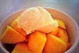 Mangoes are a much-loved tropical fruit that is great on its own or in any fruit salad bowl