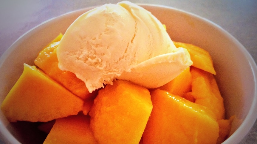 Mangoes are a much-loved tropical fruit that is great on its own or in any fruit salad bowl