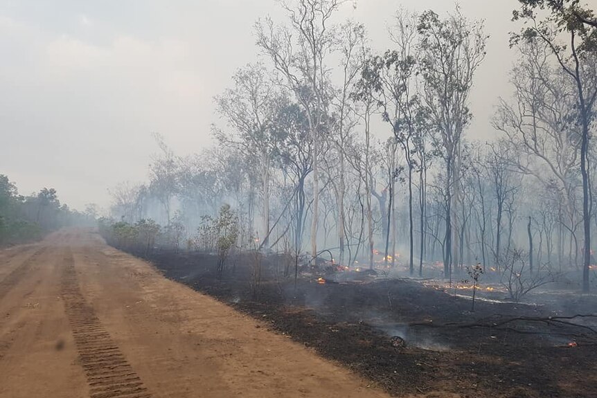 A fire break with charred bushland and small flames.