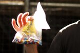 A man holds a medical waste bag, with a lot of colourful pills inside it.