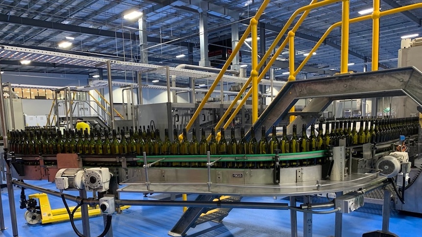 wine bottles lined up in machine