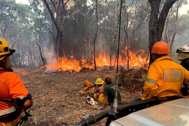 Firefighters watch flames in the bush.
