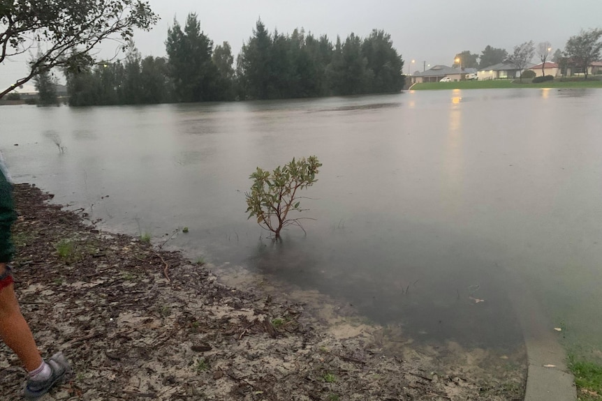 Houses are visible in the background, deep water has flooded an oval.